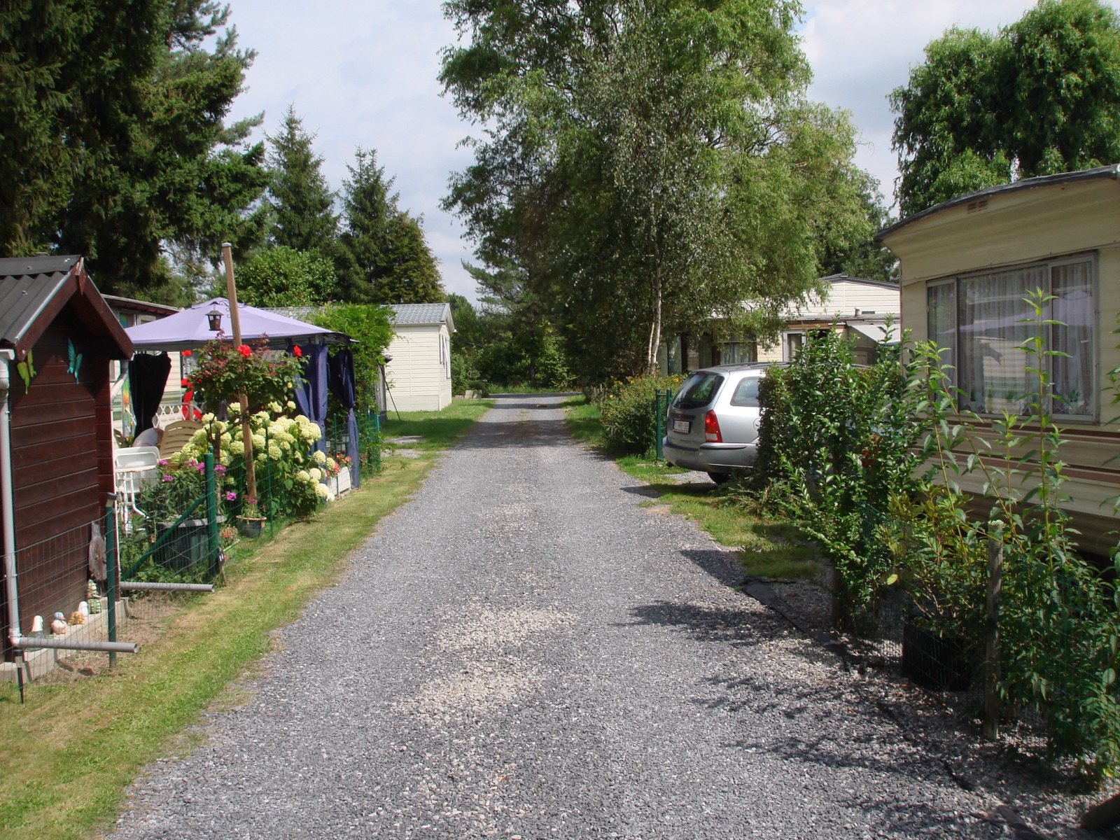 Lane through the park