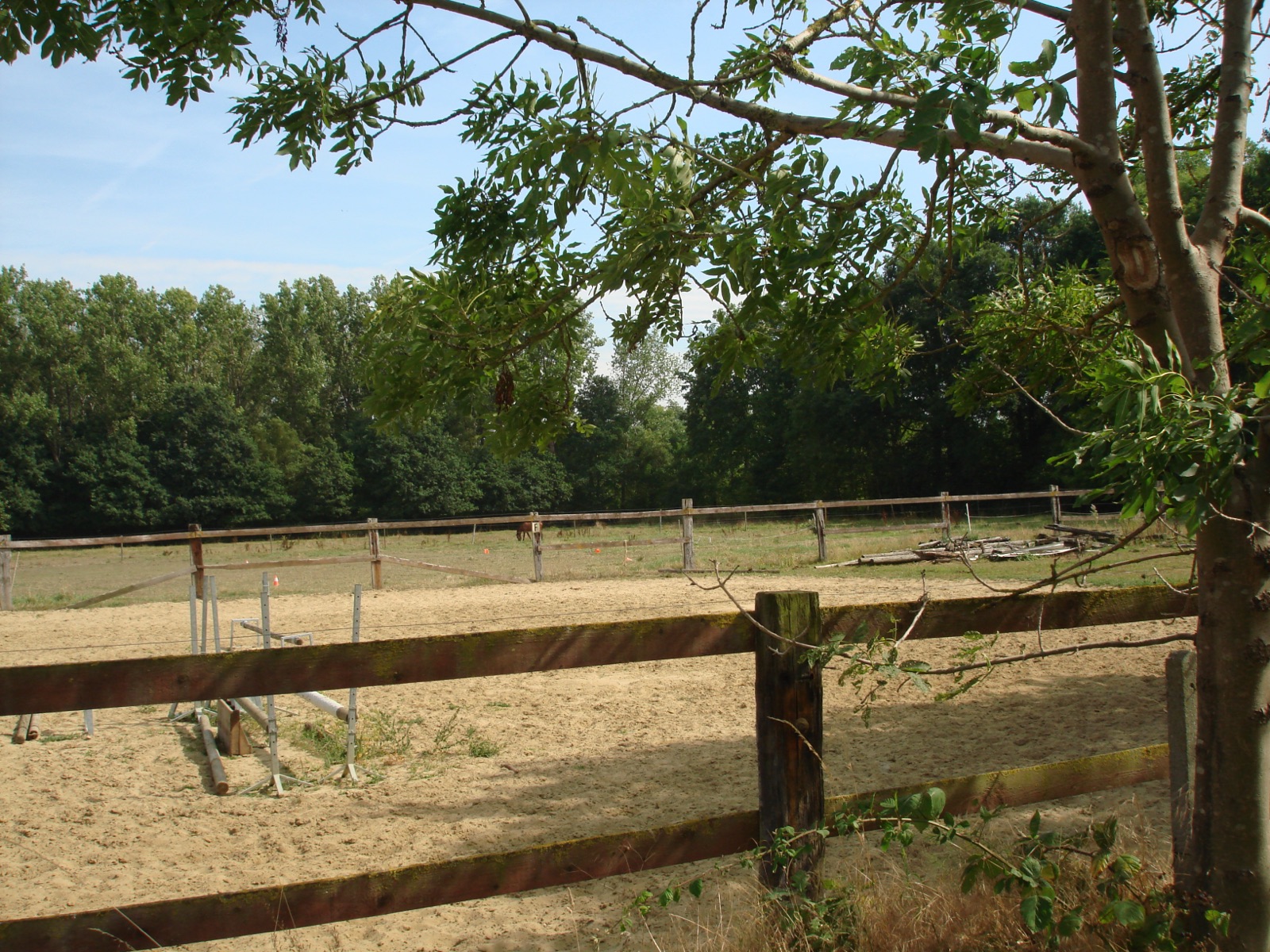 Meadow with wooden fence